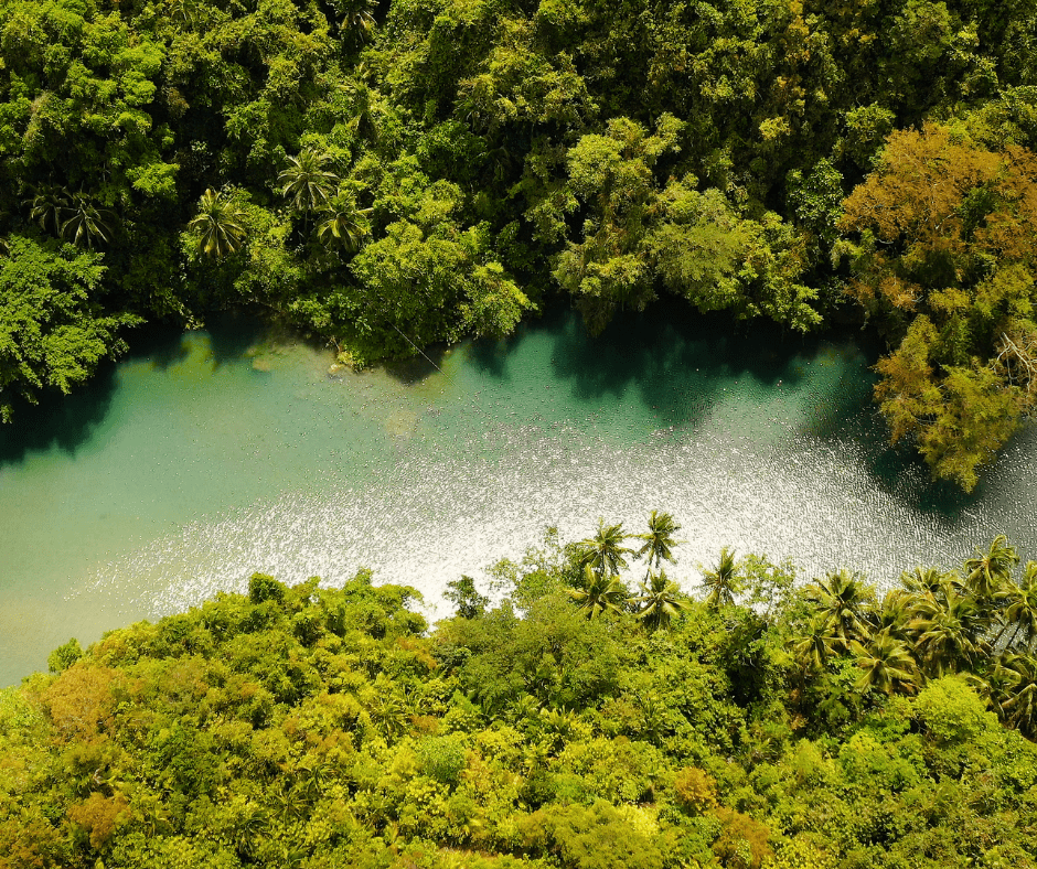 Loboc River, Bohol