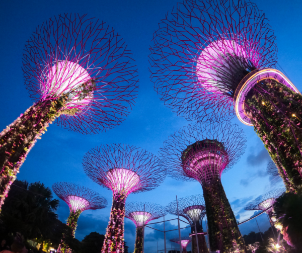 Supertree Grove Singapore