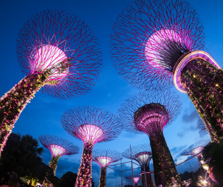 Supertree Grove, Singapore